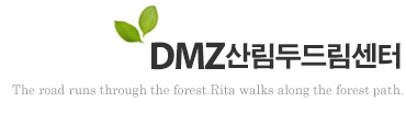 dmz긲ε帲